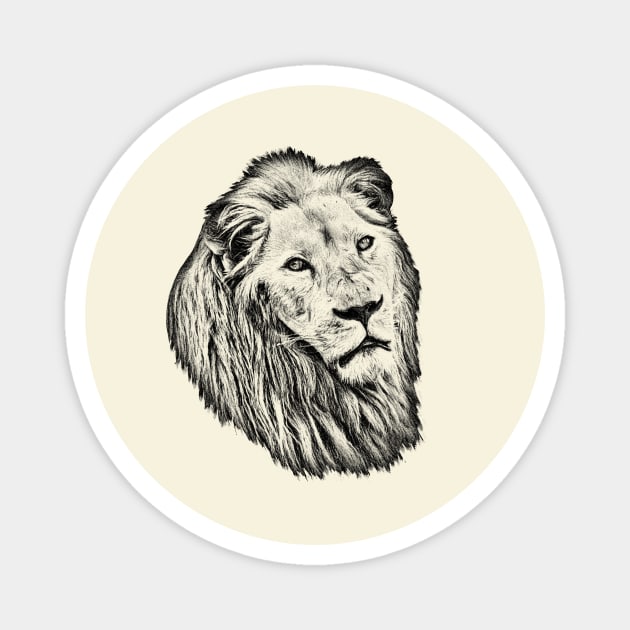 Lion portrait Magnet by Guardi